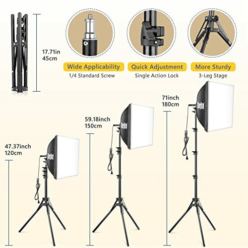 Three adjustable light stands with softboxes and height measurements.