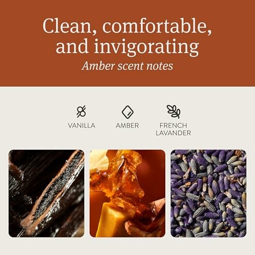 Image showing vanilla, amber, and French lavender with text 'Clean, comfortable, and invigorating. Amber scent notes.'