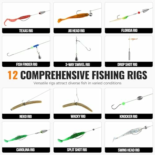 Chart showing 12 types of fishing rigs including Texas, Jig Head, Florida, and more.