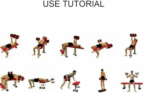 Illustration of various dumbbell exercises on a bench.
