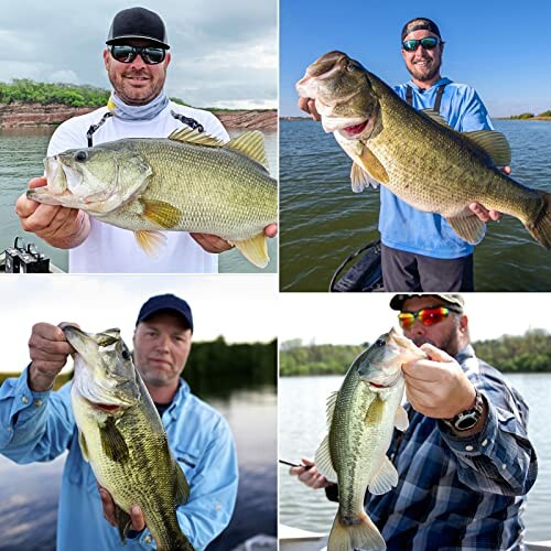 Four fishermen holding large bass fish.
