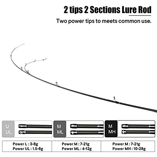 Fishing rod with two power tips and sections for lure use.