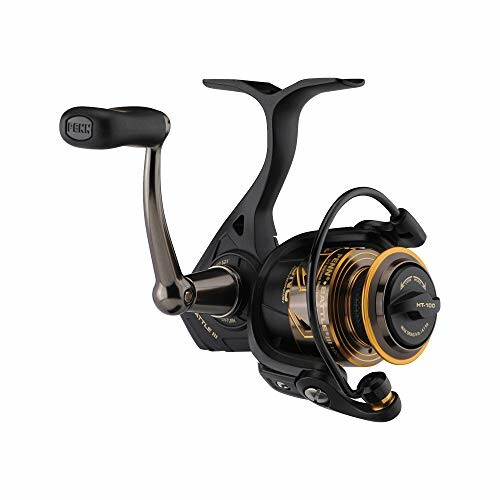 Black and gold spinning fishing reel