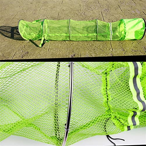 Green collapsible fishing net trap on ground.