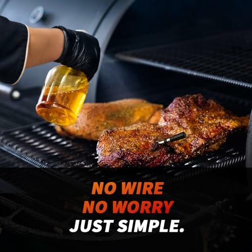 Paneceia Wireless Meat Thermometer