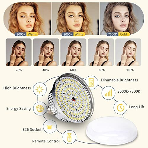 Torjim Softbox Lighting Kit