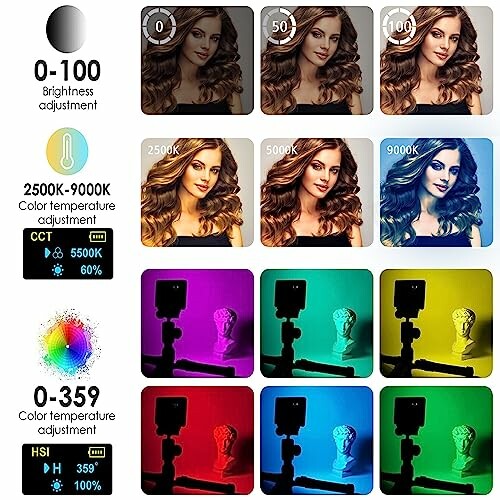 Image showing brightness and color temperature adjustments with examples of different lighting effects on a portrait and a statue.