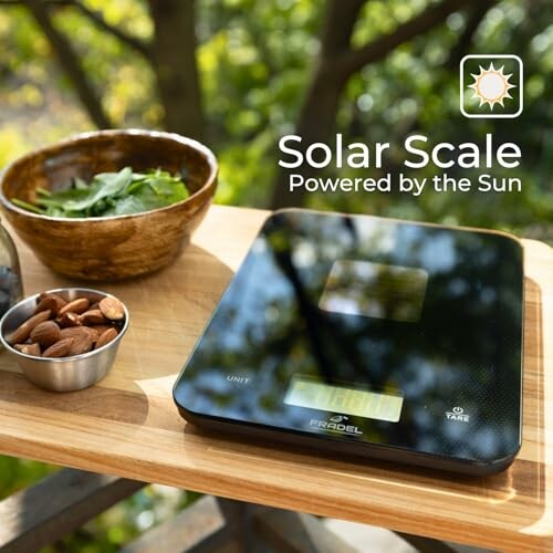 Fradel Solar Food Scale