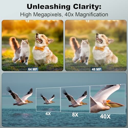 Comparison of two images showing a dog and a cat with different megapixels, and a pelican in increasing magnifications.